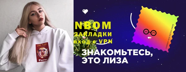 твердый Коряжма