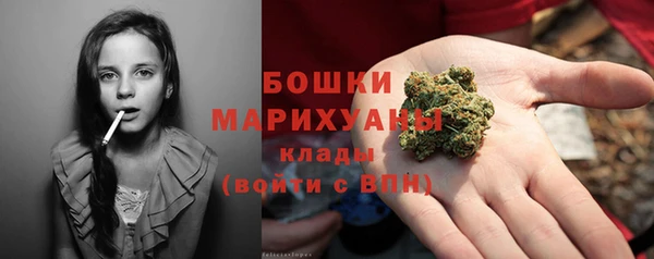 твердый Коряжма