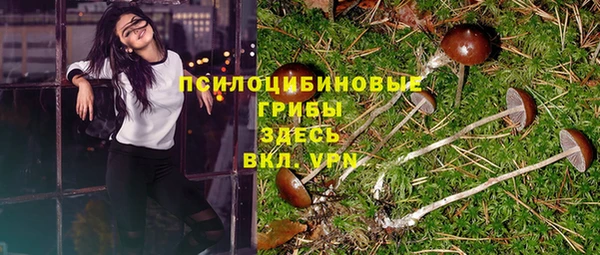 твердый Коряжма